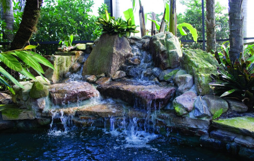 Swim up second water feature