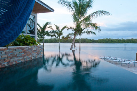 Infinity edge pool with tropical palms and hammock