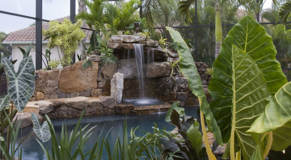 Tropical landscaping around pool