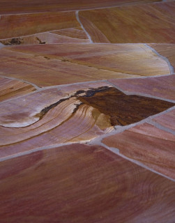 Pink flagstone detail