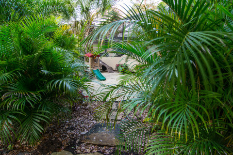 Hidden play area in tropical landscaping