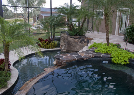 Bridge overlooking natural pool