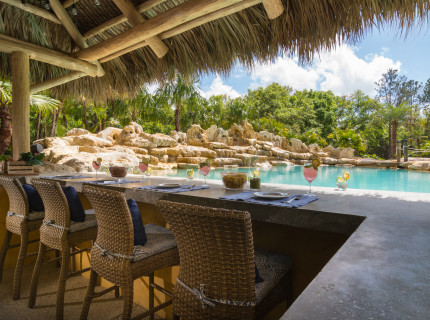Sarasota-custom-pool-tropical-lagoon-0072
