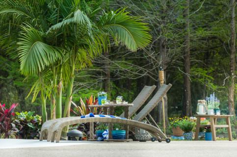 Sarasota-custom-pool-tropical-lagoon-0207