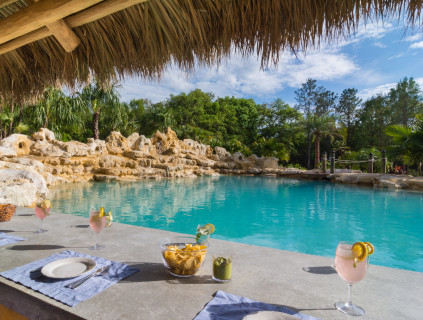 Sarasota-custom-pool-tropical-lagoon-0234