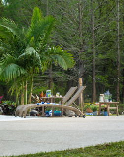 Sarasota-custom-pool-tropical-lagoon-2-12