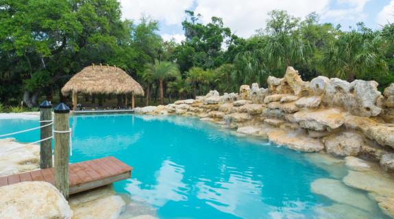 Sarasota-custom-pool-tropical-lagoon-9948