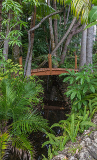 Lucas-Lagoons-Insane-Pools-Jungle-8147